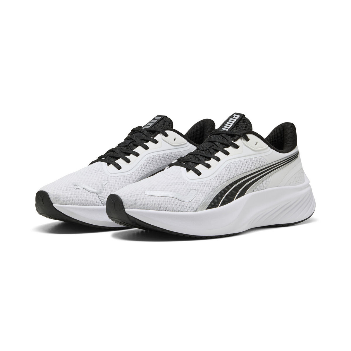 POUNCE LITE 