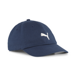 WARDROBE ESS DAD CAP 
