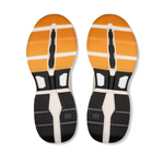 CLOUDPULSE PRO 