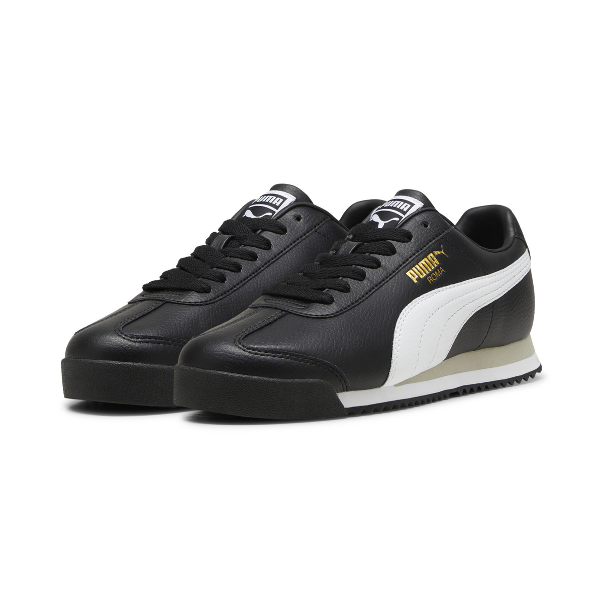 ROMA 24 STANDARD 
