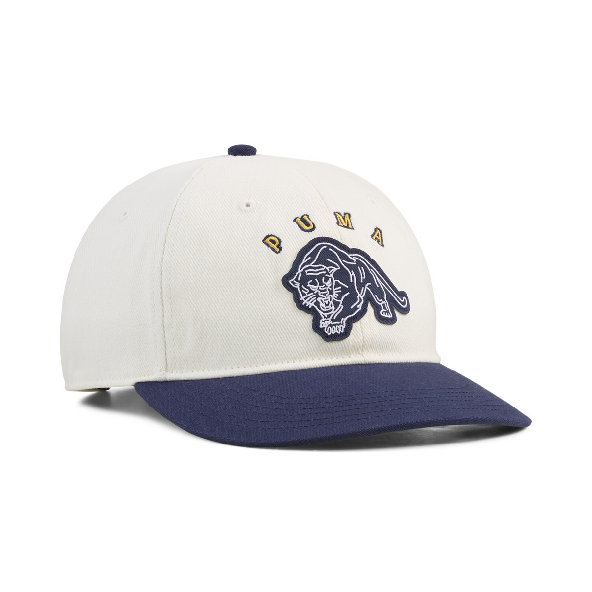 VINTAGE LOW CURVE UNSTRUCTURED BB CAP 