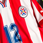 APF HOME ML SHIRT SPECIAL EDITION 