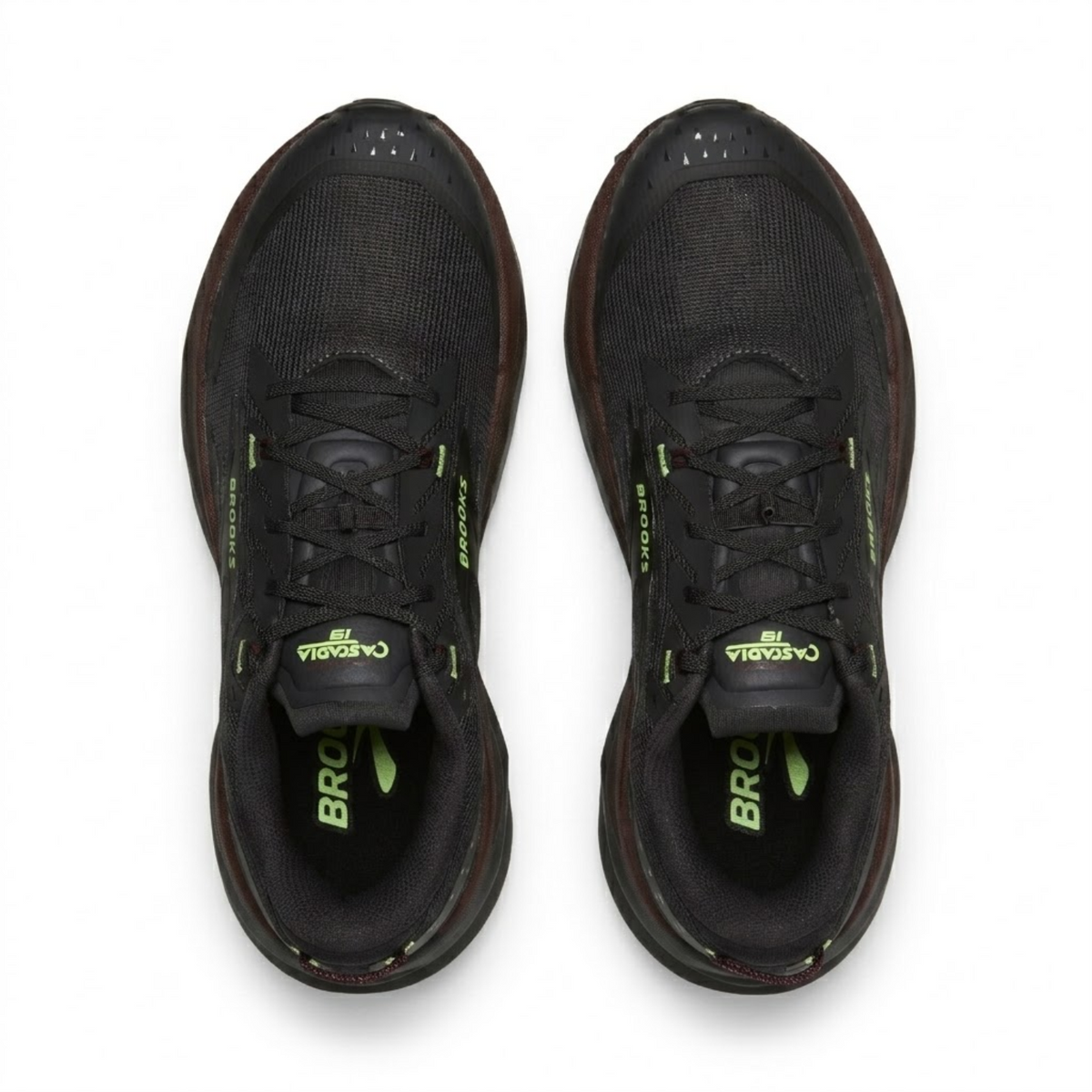 CASCADIA 19 