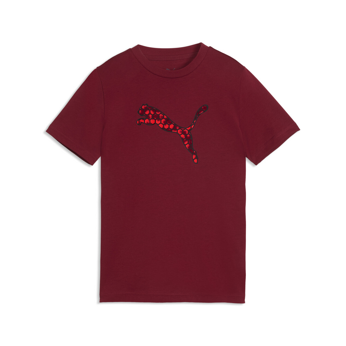 ACTIVE SPORTS BIG GRAPHIC TEE B 